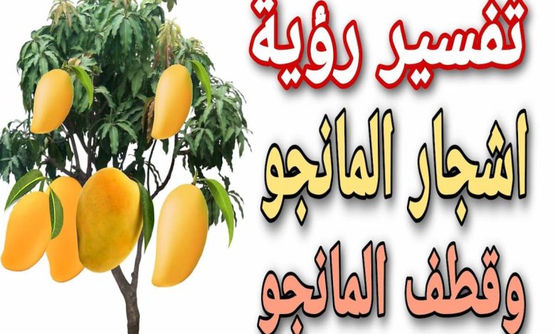 تفسير حلم شجرة المانجو