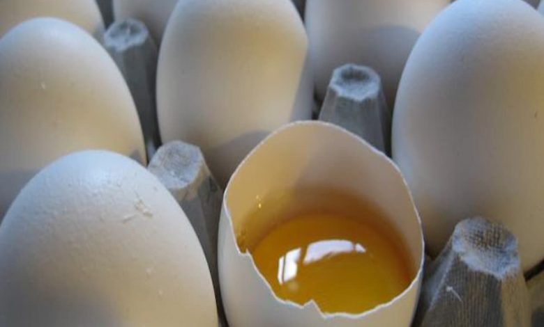 تفسير رؤية البيض الكثير في المنام للعزباء