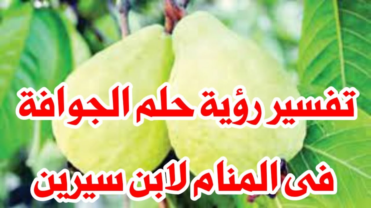 تفسير رؤية الجوافة في المنام 0