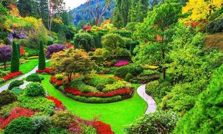 تفسير رؤية الحديقة الخضراء في المنام للرجل