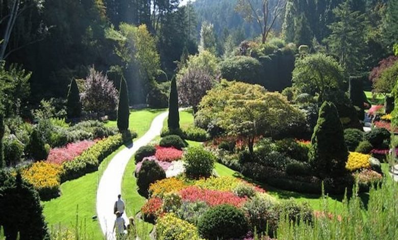 تفسير رؤية الحديقة في المنام للمتزوجة