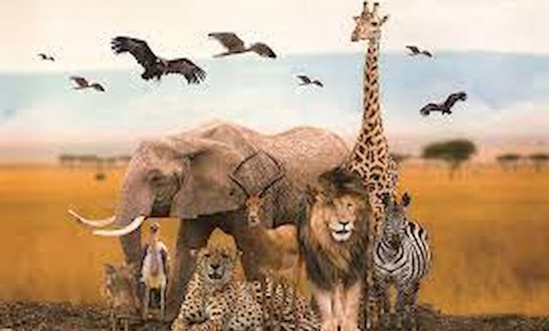 تفسير رؤية الحيوانات في المنام