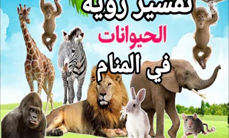 تفسير رؤية الحيوانات