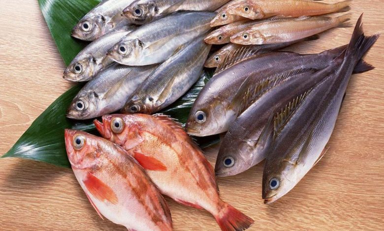 تفسير رؤية السمك الحي في المنام