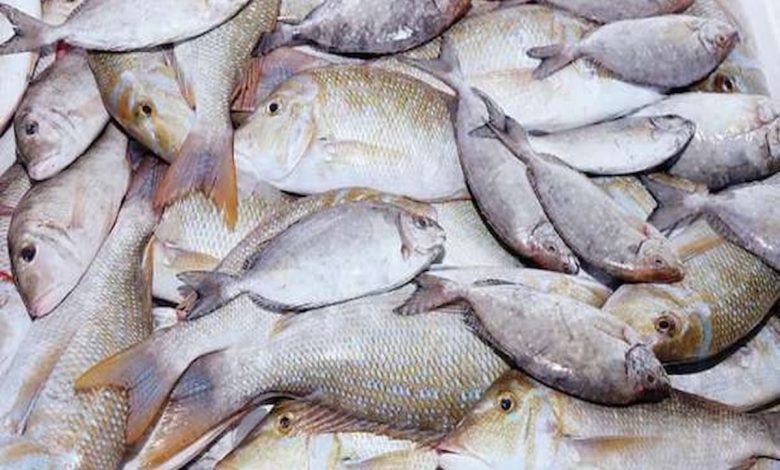 رؤية السمك في المنام للرجل