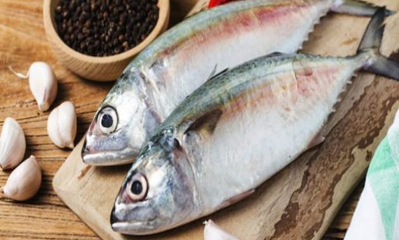 تفسير رؤية السمك في المنام للعزباء