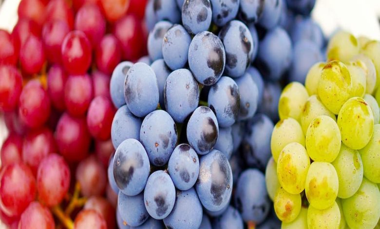 تفسير رؤية العنب في المنام للمتزوجة