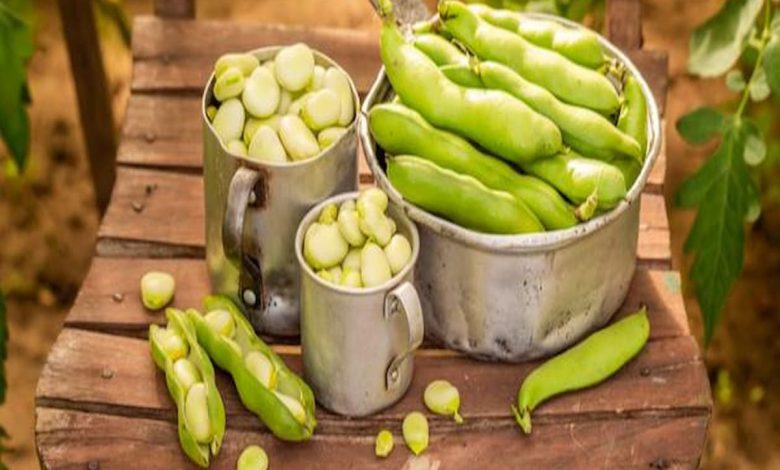 تفسير رؤية الفول الأخضر في المنام للمتزوجة