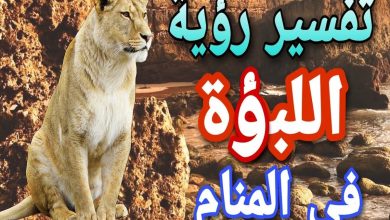 تفسير رؤية اللبؤة الأليفة في المنام