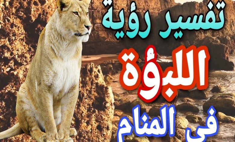 تفسير رؤية اللبؤة الأليفة في المنام