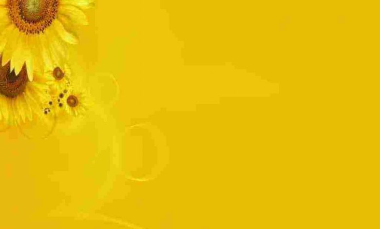 تفسير رؤية اللون الأصفر في المنام للعزباء