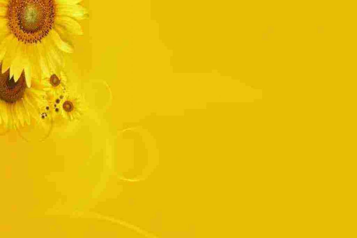 تفسير رؤية اللون الأصفر في المنام للعزباء