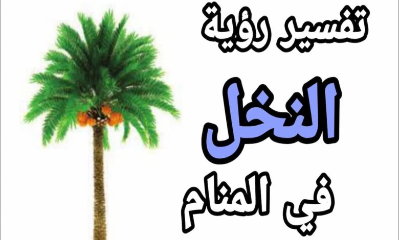 تفسير رؤية النخل الصغير