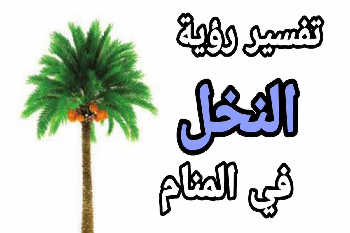 تفسير رؤية النخل الصغير