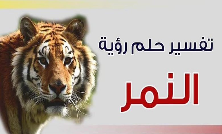 تفسير رؤية النمر في المنام 0 (1)
