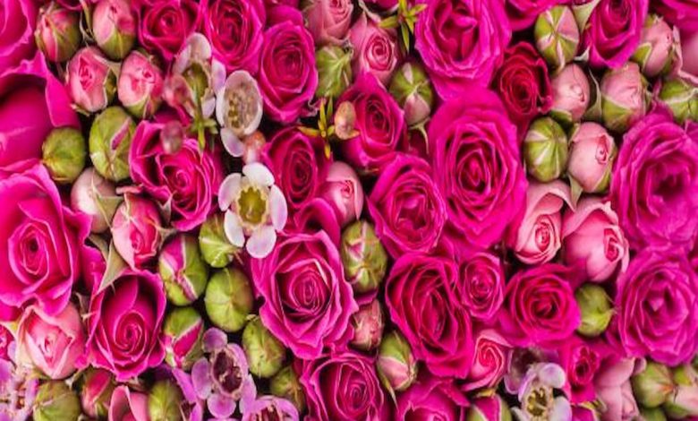 تفسير رؤية الورد الملون في المنام للمتزوجة