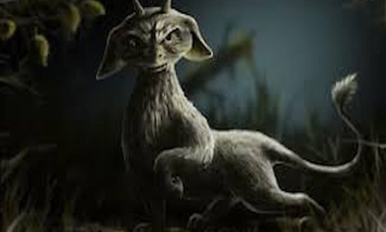 تفسير رؤية حيوان غريب في المنام 0 (1)