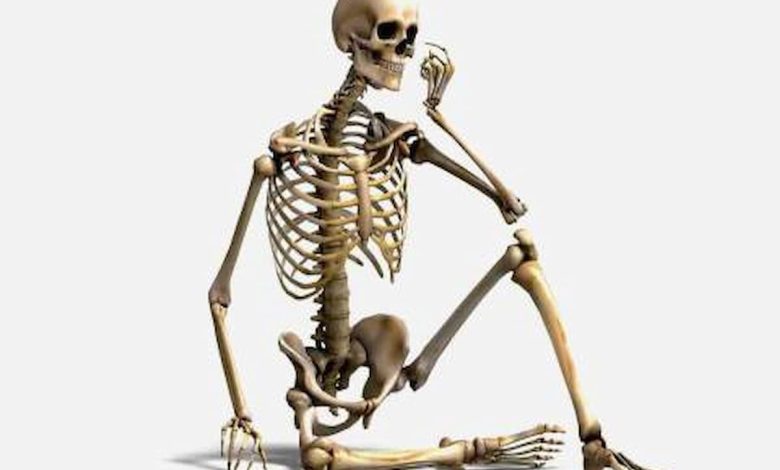 تفسير رؤية عظام الإنسان في المنام