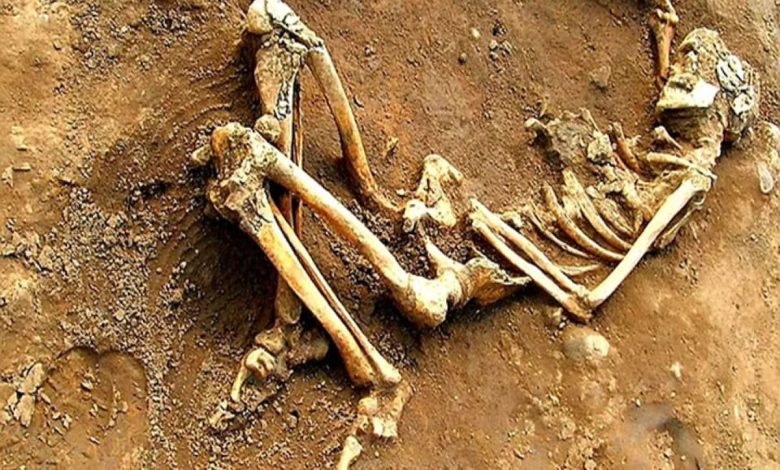 تفسير رؤية عظام الميت في المنام لابن سيرين