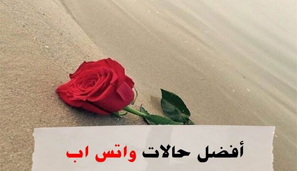 حالات واتس اب منوعة وجديدة