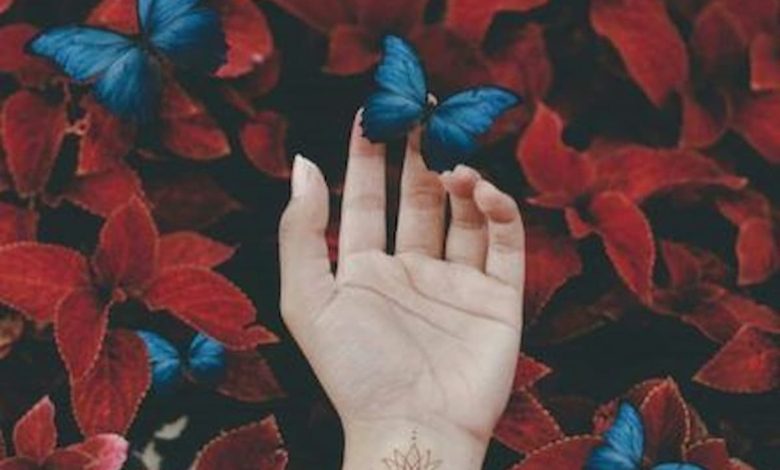 خلفيات واتس اب جديدة ومميزة