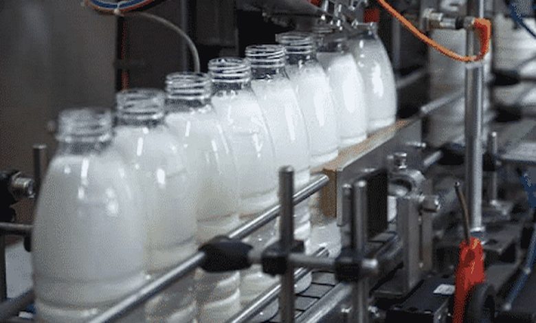 دراسة جدوى مشروع مصنع حليب