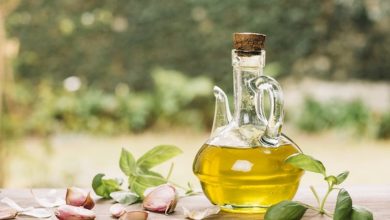 دراسة جدوى مصنع زيت زيتون