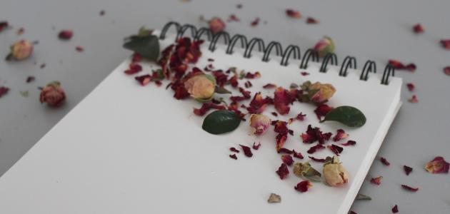 عبارات تهنئة بالنجاح للطالبات من المعلمات