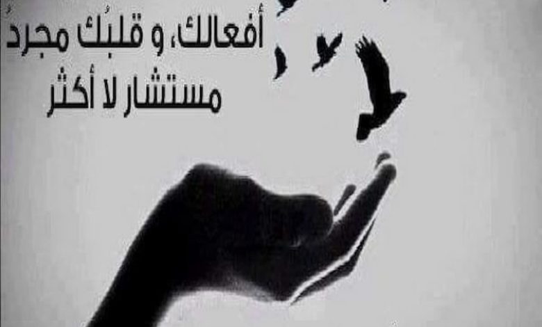 عبارات جميلة عن الحياة