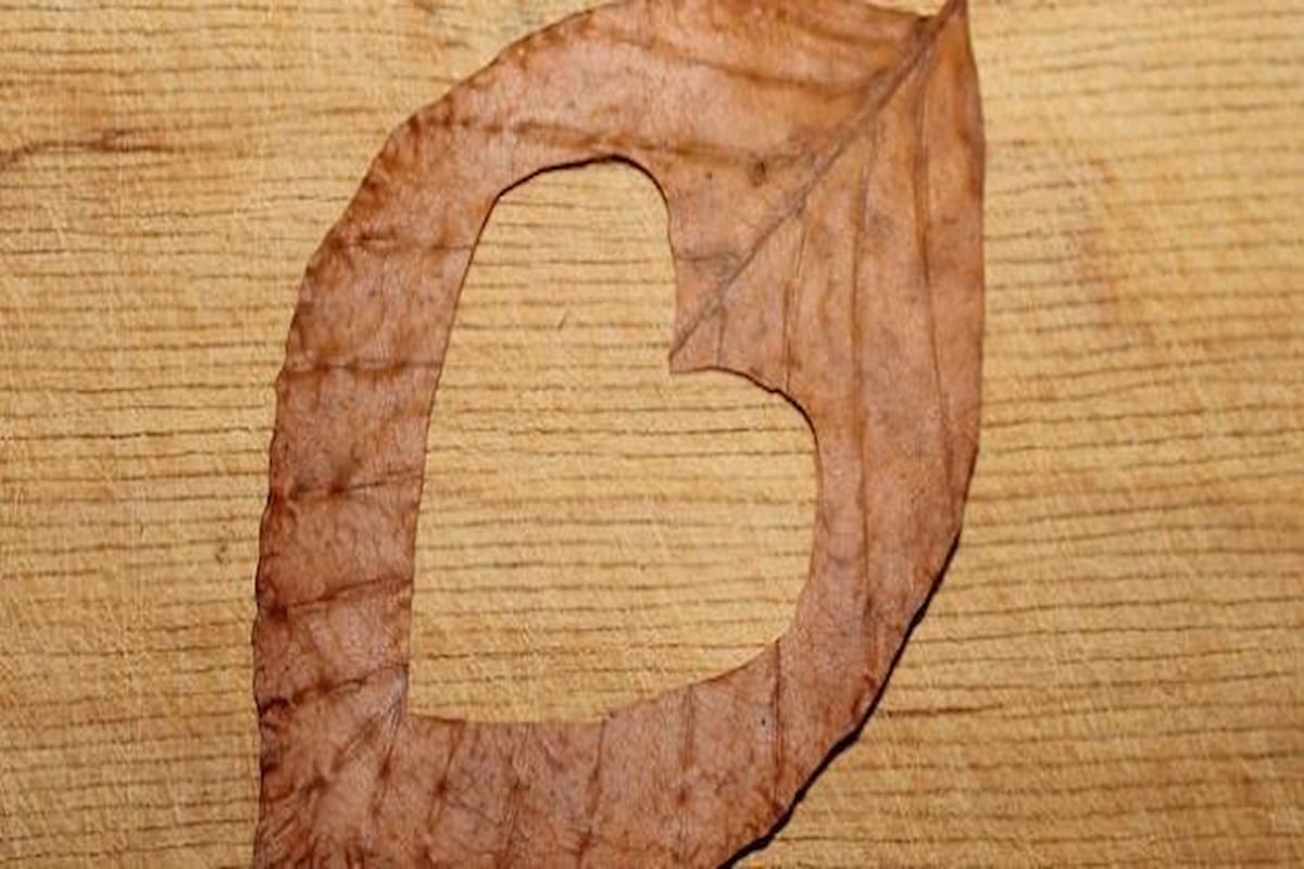 عبارات حب كتابة مميزة