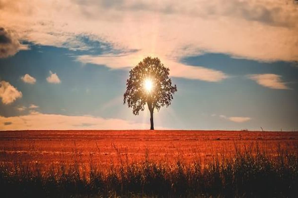 عبارات عميقة تلامس القلب