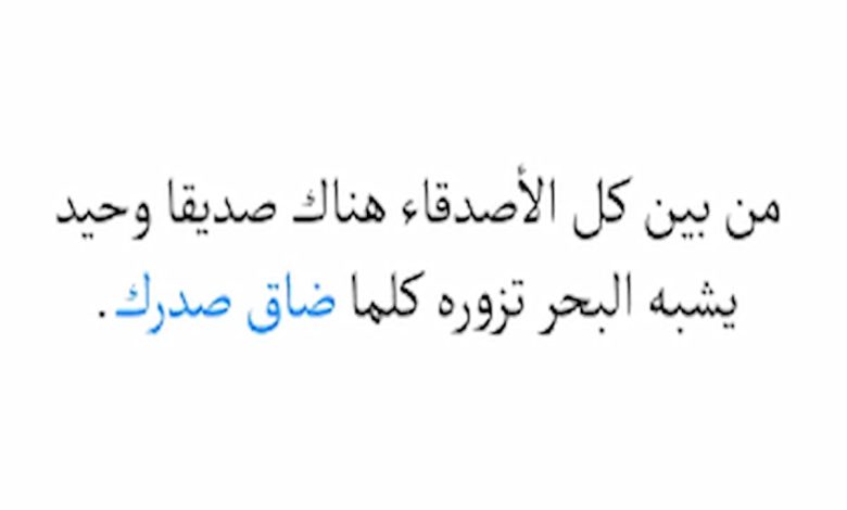 عبارات عن الأصدقاء