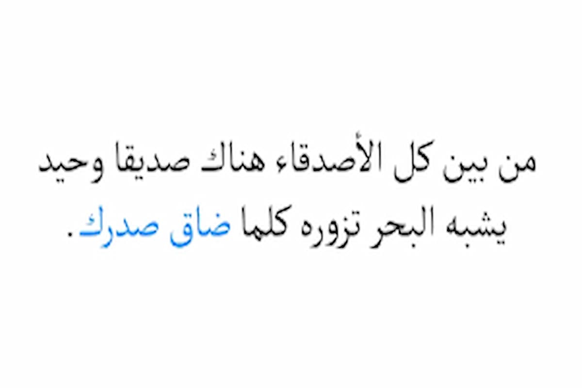 عبارات عن الأصدقاء