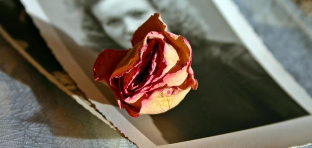 عبارات عن الام المتوفية