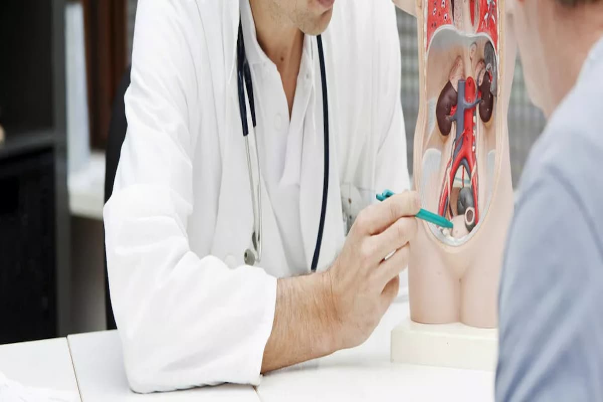 علاج التهاب المسالك البولية في المنزل للنساء 1 علاج التهاب المسالك البولية