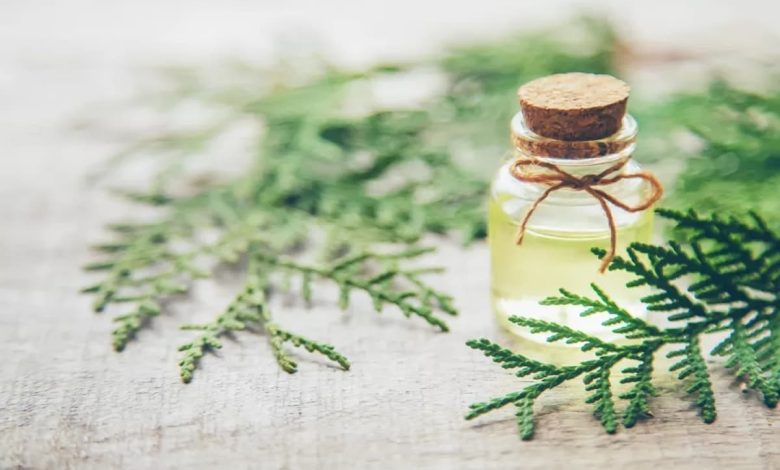 علاج فطريات الأظافر بالأعشاب في المنزل