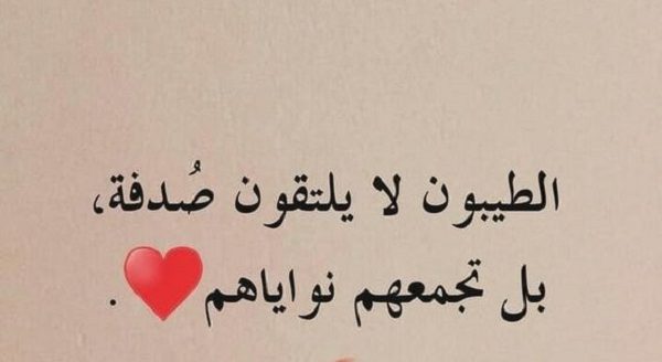 كلام جميل عن الحب تويتر