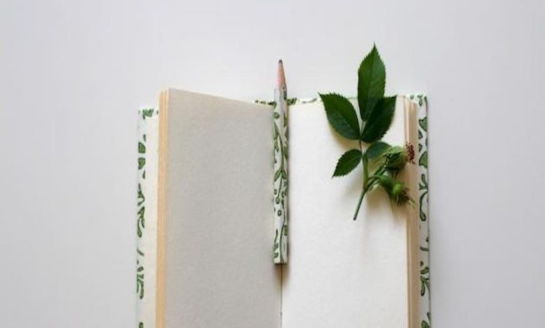 كلام جميل عن الناس الجميلة