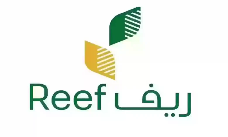 كم تستغرق دراسة الأهلية في ريف