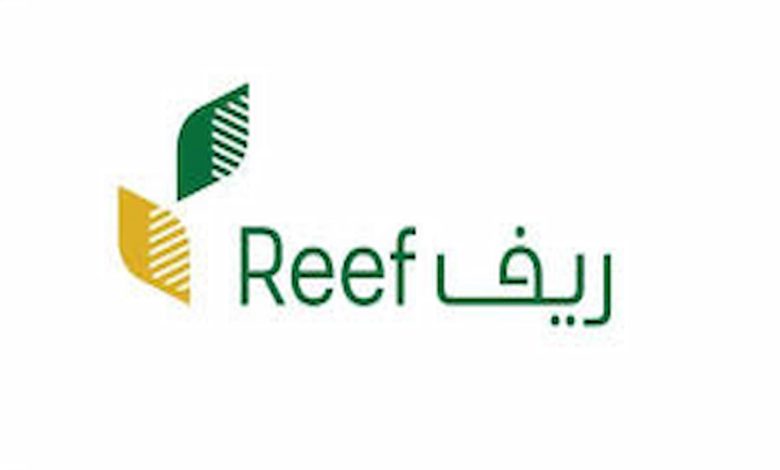 كيف اعرف اني مستحق في دعم ريف