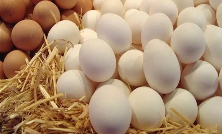 ما تفسير البيض الكثير في المنام