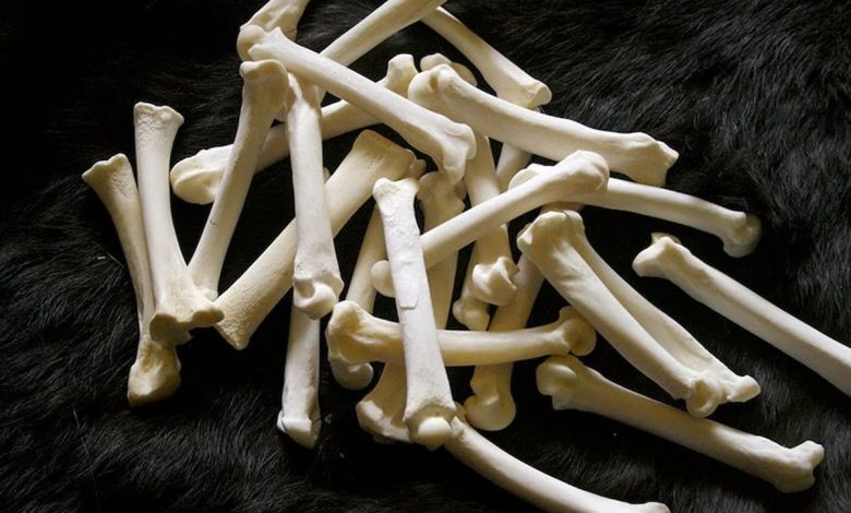 ما تفسير حلم عظام الخروف