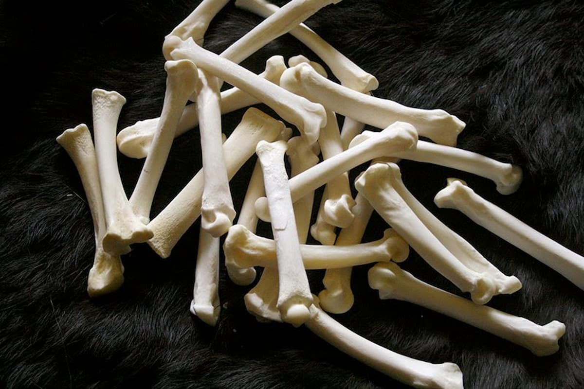 ما تفسير حلم عظام الخروف