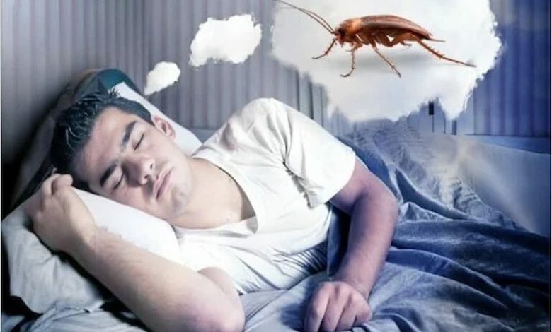 ما تفسير رؤية الحشرات الزاحفة في المنام