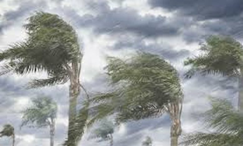 ما تفسير رؤية الزوبعة في المنام