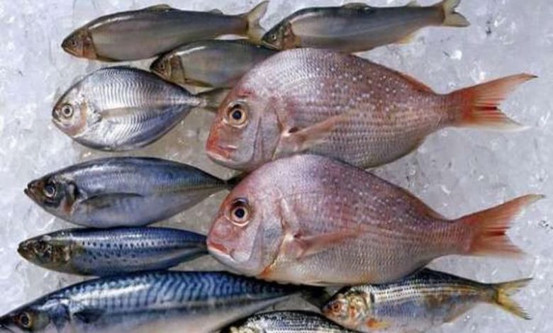 ما تفسير رؤية السمك في المنام للعزباء