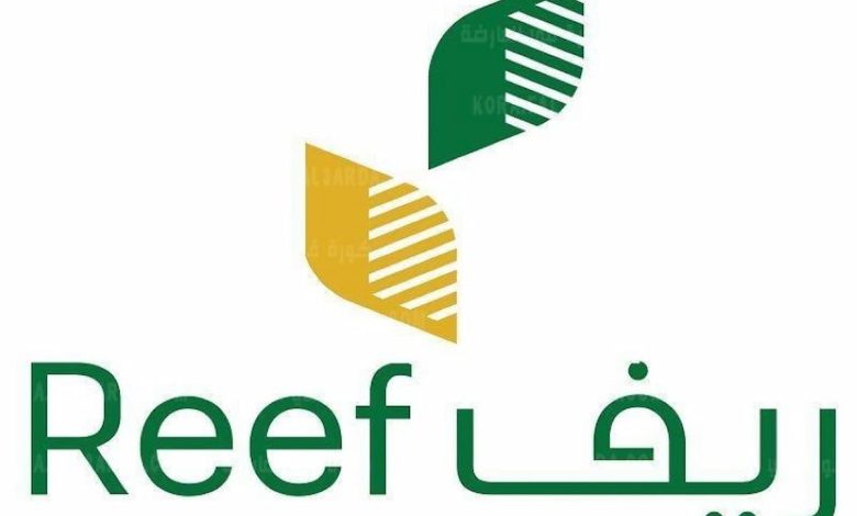 ما هي الفئات المستفيدة من دعم  ريف