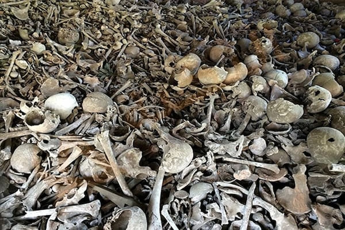 ماذا تعني العظام في الأحلام