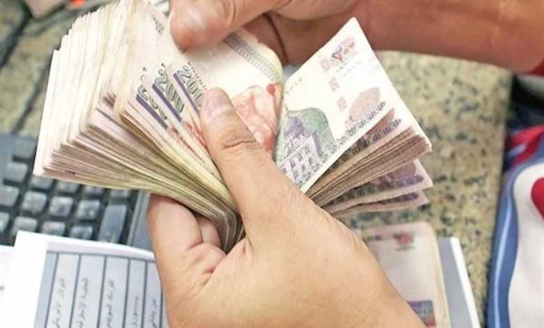 مشروع برأس مال 30000 جنيه مصري 0 (1)