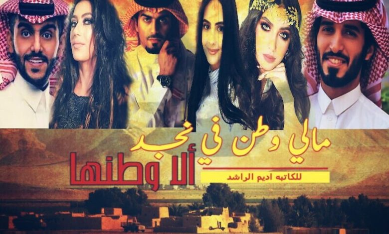 ملخص رواية مالي وطن في نجد الا وطنها